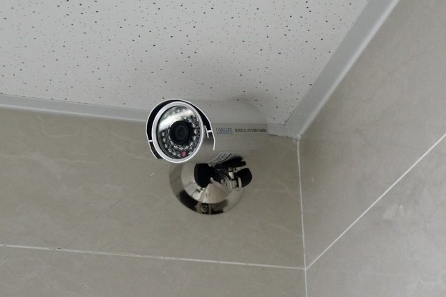 photo19.jpg